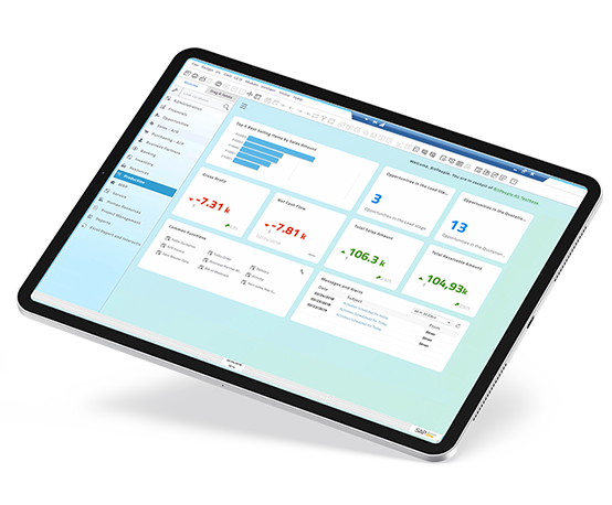 SAP Business One iPad